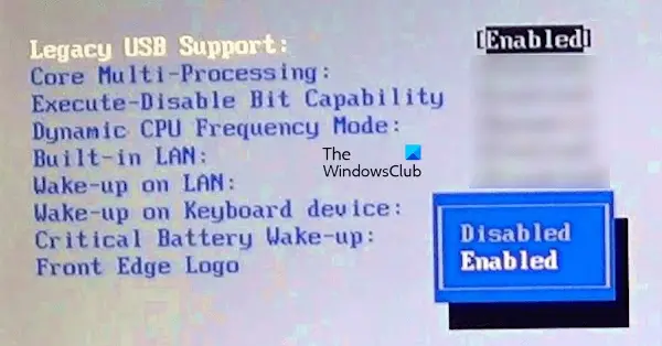 Enable Legacy USB Supprt