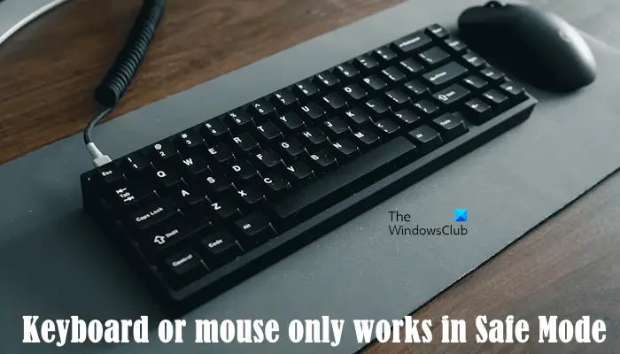 Keyboard or Mouse only works in Safe Mode