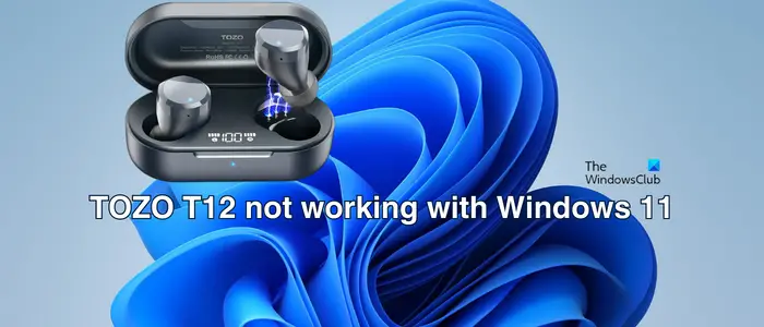 TOZO T12 not working with Windows 11